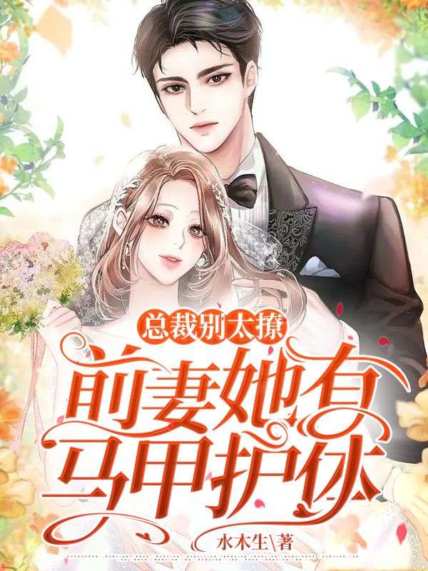 总裁前夫别放弃全文